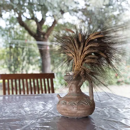 Casa Su Barone 1 Dom wakacyjny *