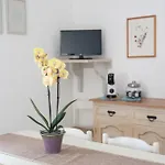 Casa Su Barone 1 * Orosei
